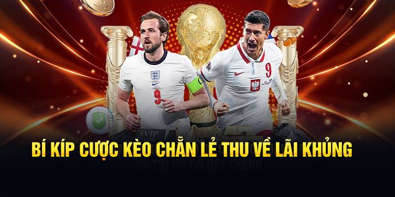 Bí kíp cược kèo chẵn lẻ thu về lãi khủng