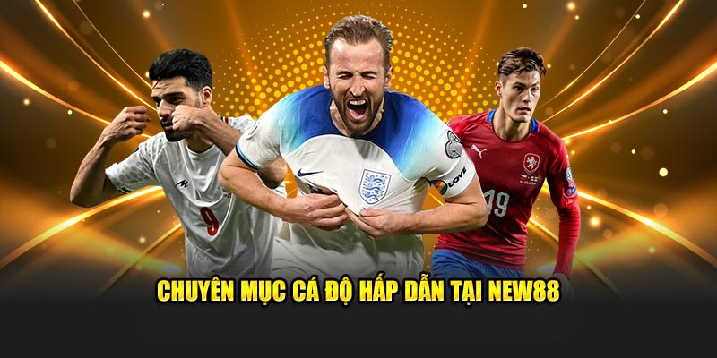 Chuyên mục cá độ hấp dẫn tại New88