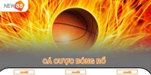 Cá cược bóng rổ